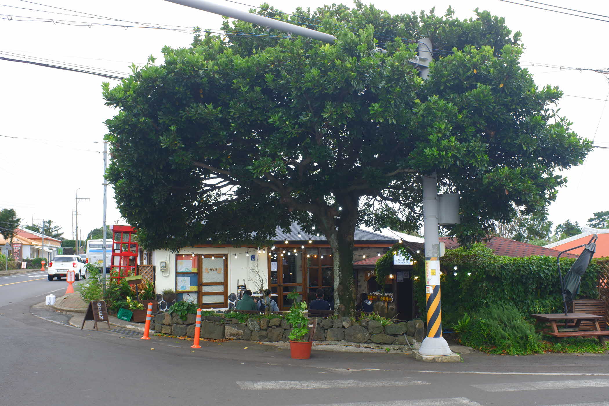 jeju