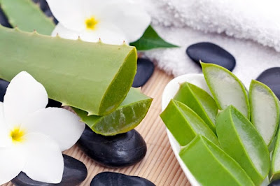 10 health benefits of Aloe Vera