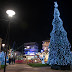  Το Χριστουγεννιάτικο Δένδρο της Άρτας «ανάβει» την Πέμπτη 8 Δεκεμβρίου