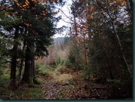 20161030_144703