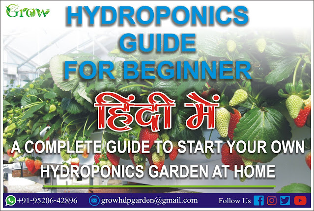 हाइड्रोपोनिक्स, Hydroponics