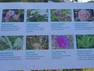 flowers of the roof sign