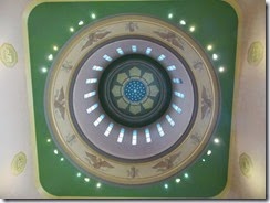DSCN0785