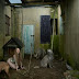 Fotógrafa retrata casos reais de crianças criadas por animais