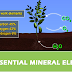 RANGES OF ELEMENTS PARAMETERS IN SOIL AND IRRIGATION WATER