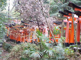 Fushimi Inari Taisha Kioto