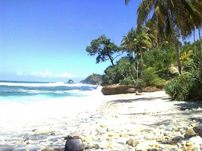 pantai tersembunyi di Pacitan, pantai belum terjamah di Pacitan, pantai di Pacitan