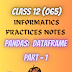 Pandas : DATAFRAME Important notes for class 12 PDF