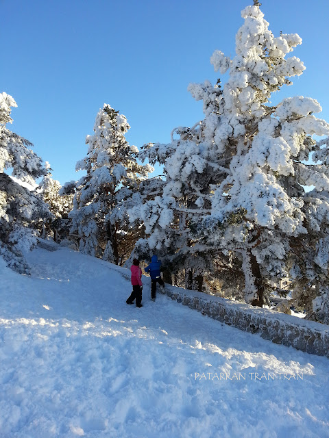 Mirador de Los Robledales. Valle de Lozoya