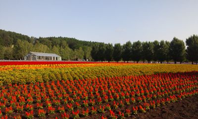 20140714_064720