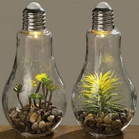 Terrarios DIY en focos de luz reciclados