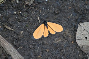 IMG_5057