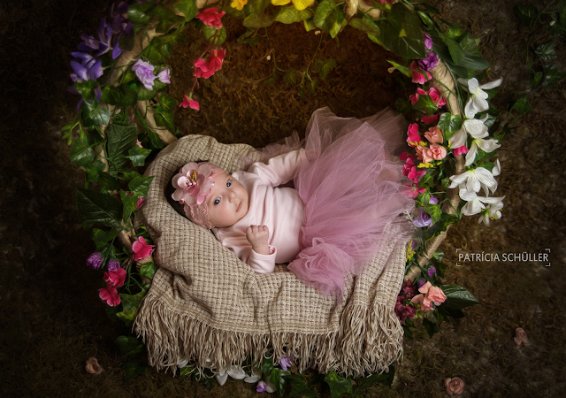 Acompanhamento Ana Clara Patrícia Schüller Fotografias Rio do Sul