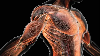 A creatina é reconhecida por sua capacidade de aumentar a produção de ATP, a principal fonte de energia para os músculos durante exercícios de alta intensidade. Isso significa mais potência nos seus treinos, permitindo que você ultrapasse seus limites e conquiste resultados extraordinários.