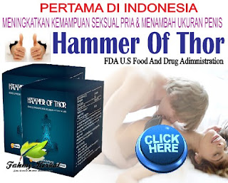 Obat Herbal Menyembuhkan Lemah Syahwat Permanen 