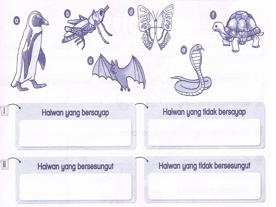 Dunia Sains dan Teknologi Tahun 1 (KSSR): Latihan