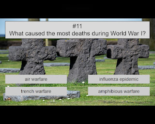 What caused the most deaths during World War I? Answer choices include: air warfare, influenza epidemic, trench warfare, amphibious warfare