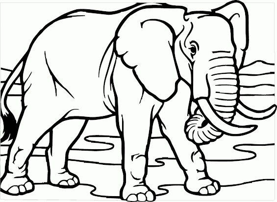 Mewarnai Gambar Gajah Tampak Nyata - Contoh Anak PAUD