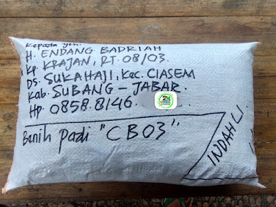 Benih Padi Pesanan  H. ENDANG B. Subang, Jabar.   (Setelah di Packing).