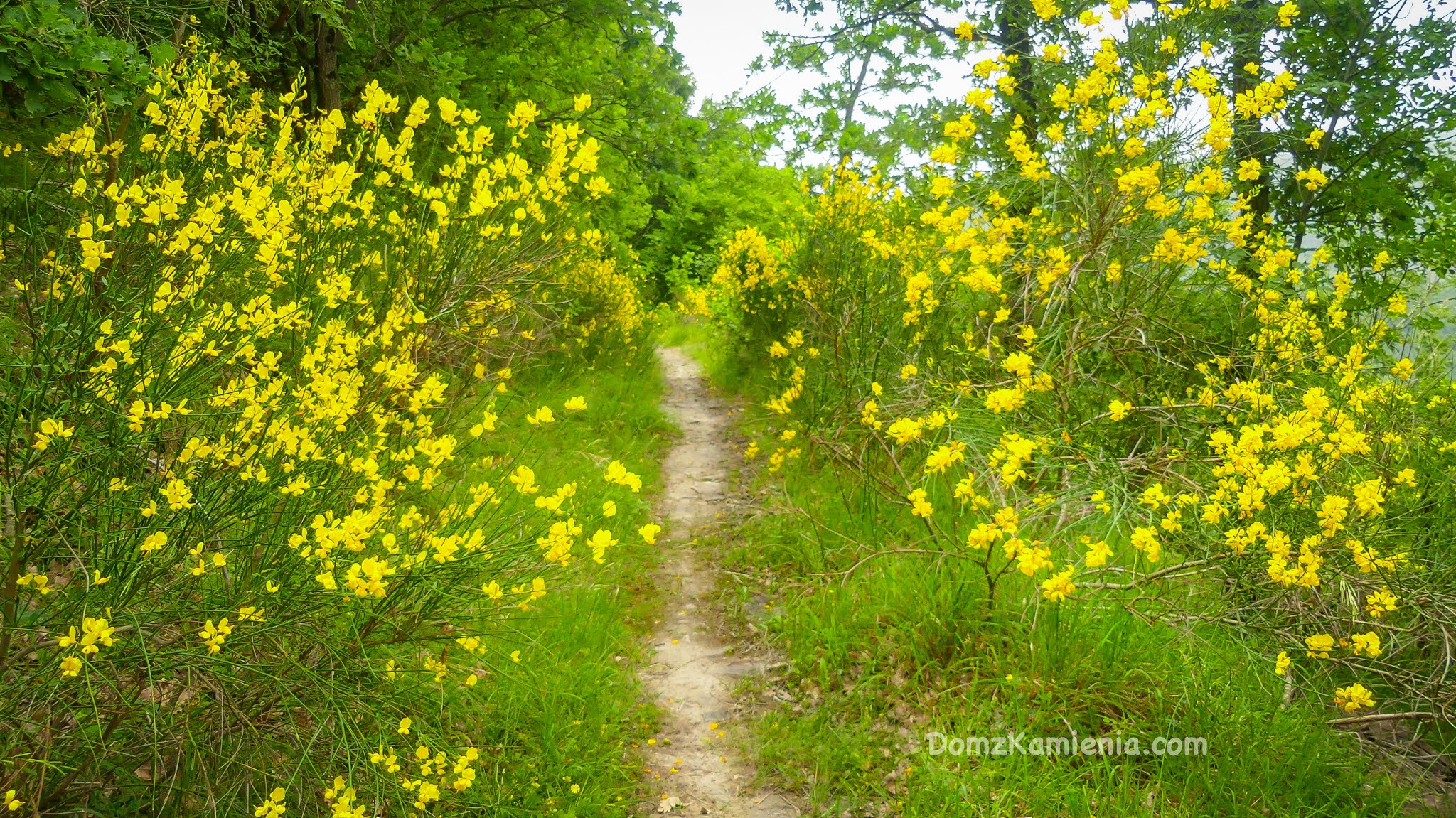 Biforco, trekking z Domem z Kamienia