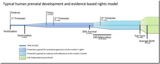 Fetal Development
