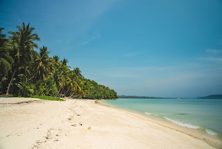 An Andaman Tour Package from Kolkata Awaits Your Discovery: Experience Tropical Paradise Now