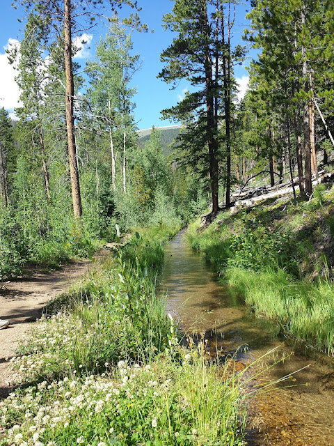 Peaks Trail Frisco Breckenridge - Early Morning Run