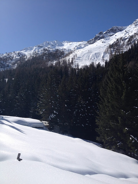 Raquetas de nieve