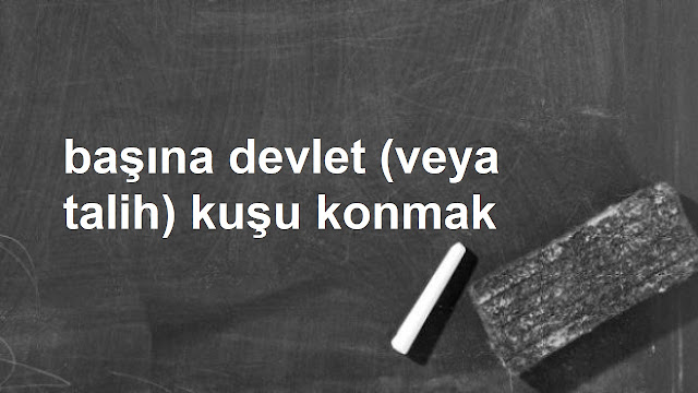 başına devlet (veya talih) kuşu konmak