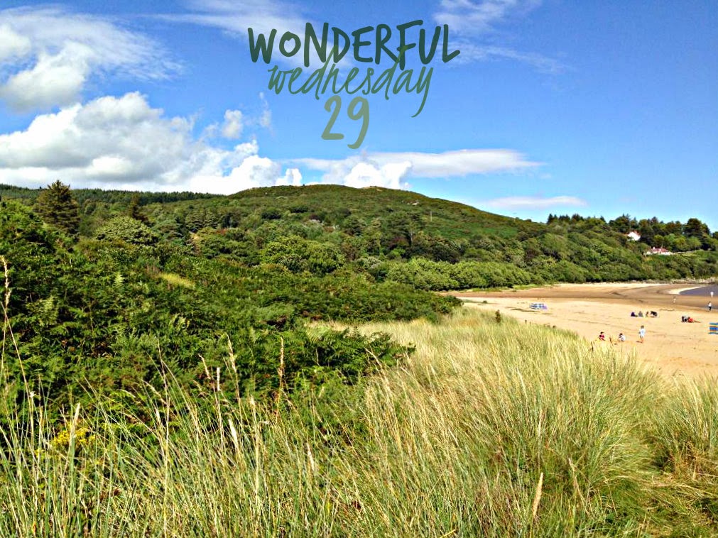 Wonderful Wednesday #29