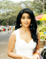 Shriya, saran, latest, saree, stills