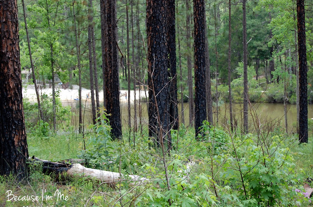 Falling Waters State Park, Florida