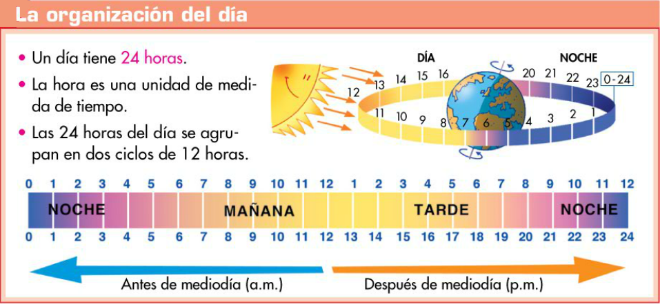 http://www.primerodecarlos.com/TERCERO_PRIMARIA/enero/Unidad_7/mates/actividades/dia_horas/visor.swf