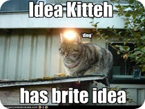 funny-pictures-cat-has-an-idea