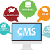 Advantages of a CMS Website