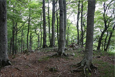 Buzones en la cima de Ilarratxa