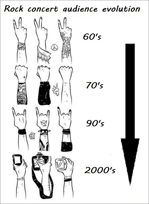 Rock Concert Audience Evolution