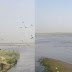 बलिया में गंगा नदी में डूबने से 2 भाइयों की मौत, SDRF की मदद से मिली लाश