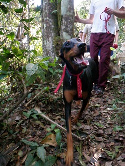 Pets 4_3 (42)
