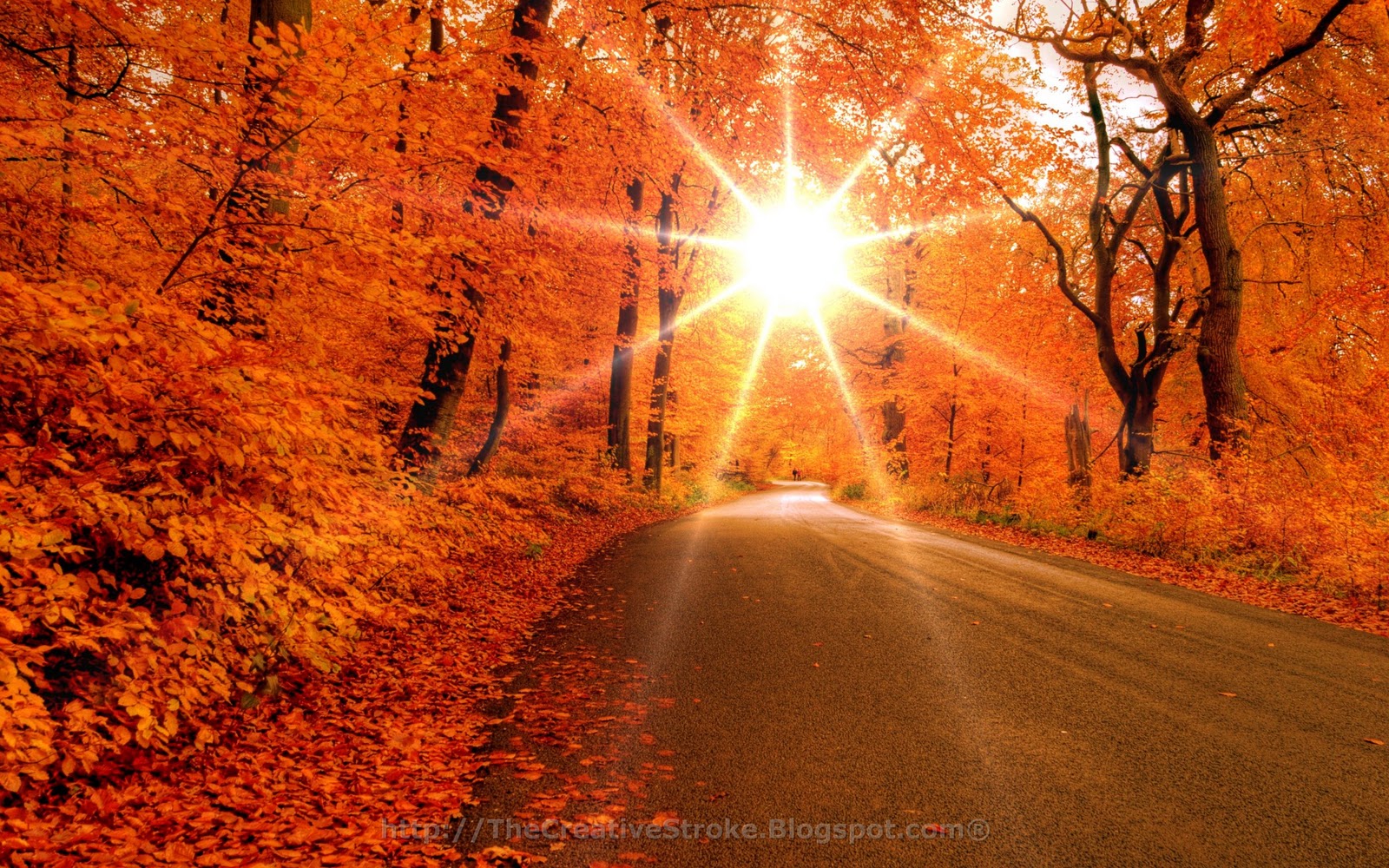 Atoz Desktop Wallpapers: Autumn Wallpapers