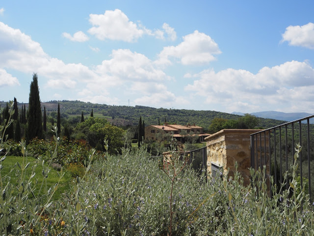 Toskánské kopce - okolí Montalcino