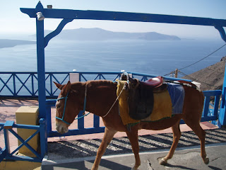 Santorini - Go up the Caldera on a mule ride - Greece