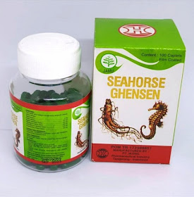 jual seahorse ghensen di surabaya