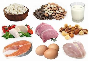 Protein rich foods