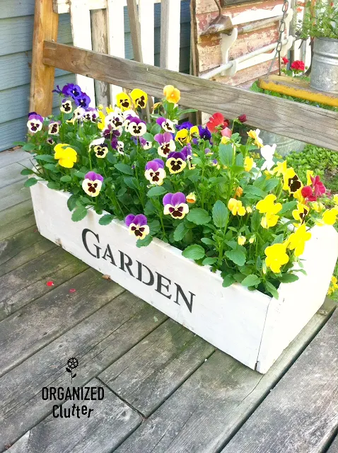 Pansies Planted in a Toolbox organizedclutter.net