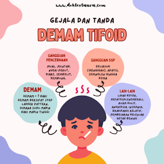 tiga gejala utama Demam Tifoid adalah: demam, gejala pencernaan dan gejala sistem saraf pusat