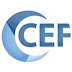 CefSharp - Fully functional web browser on your .Net App