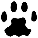 PAW Server for Android