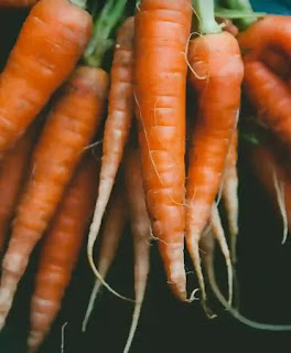 IMG_20220531_223626-1654016854561 গাজরের উপকারিতা ও পুষ্টিগুণ - Benefits And Nutritional Value Of Carrots