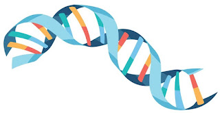 Photo of DNA